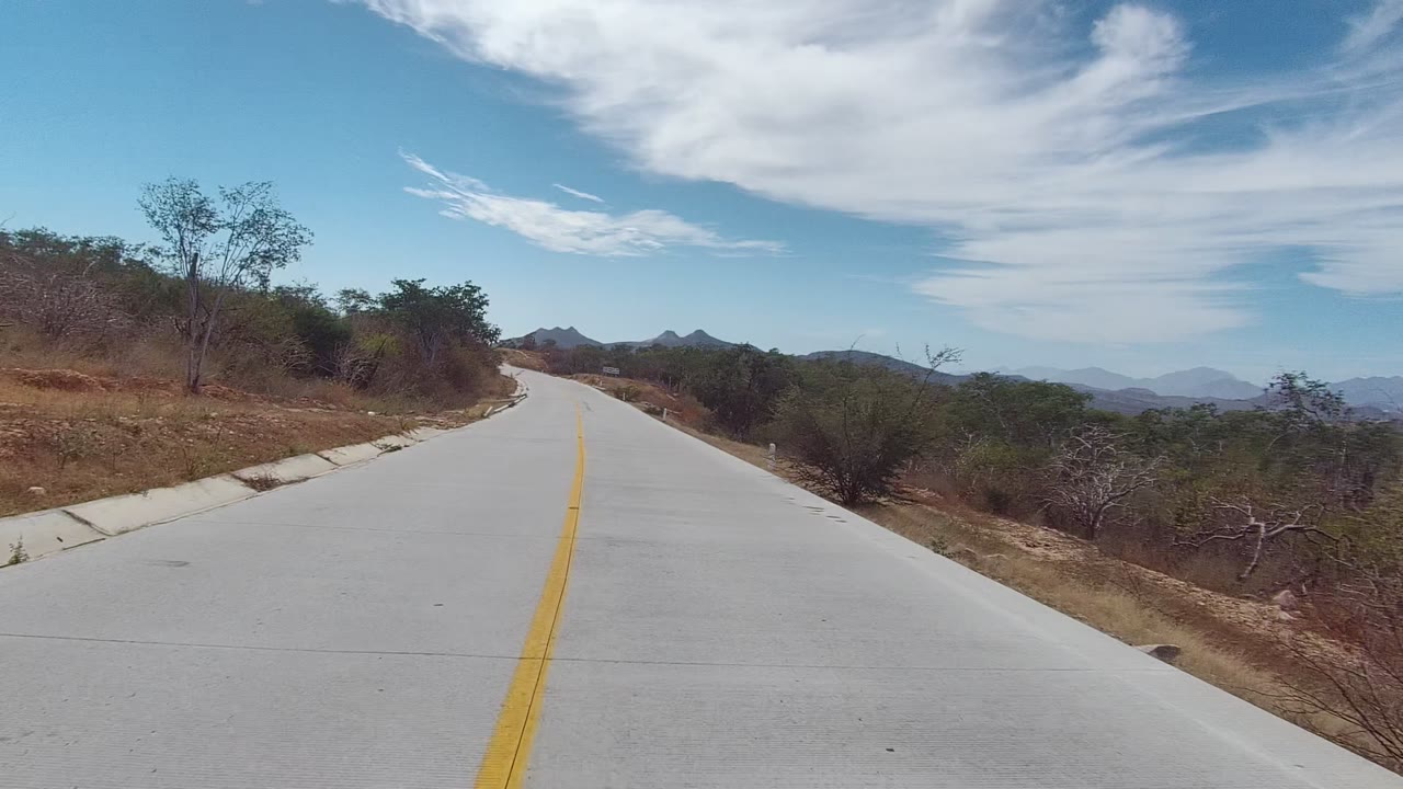 Forward view along a pale paved road with dry brush on both sides.