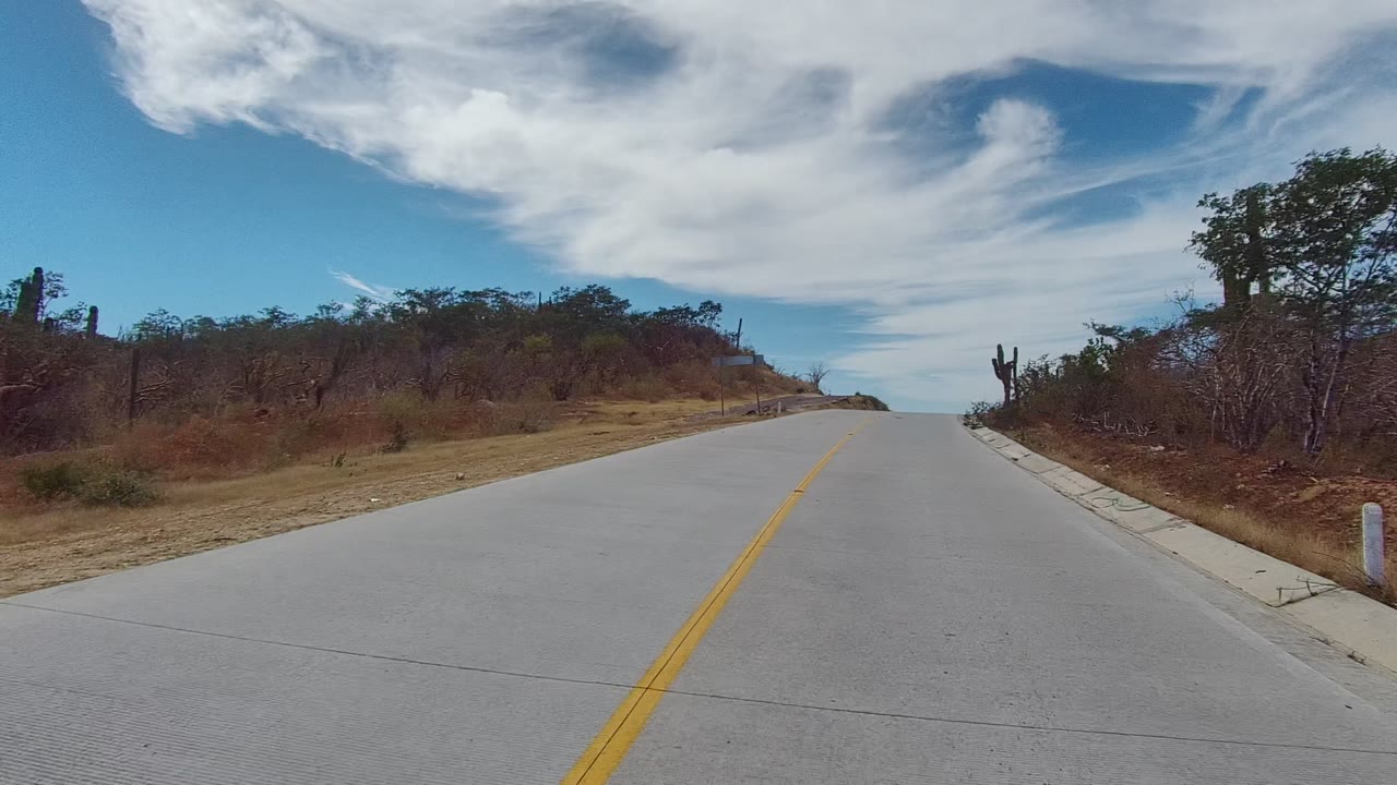 Two-lane road bends through arid scrub with cacti and a large tree near the shoulder.