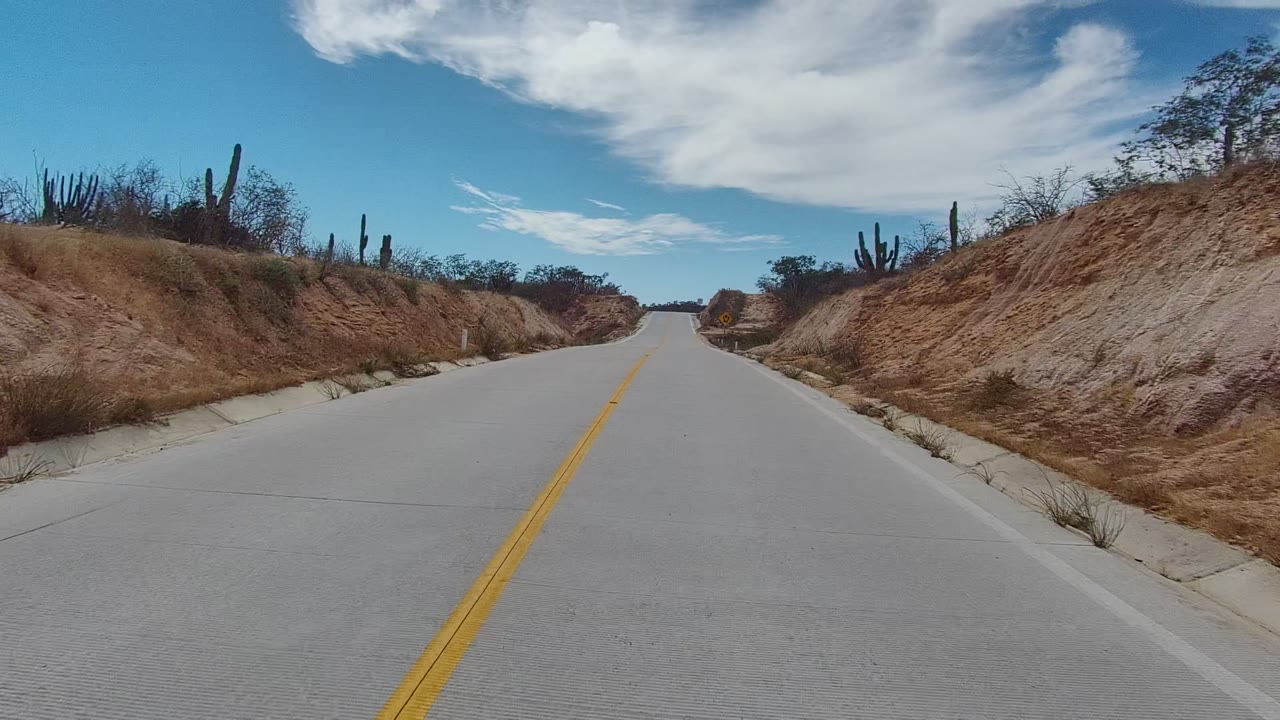 Road cresting ahead with sandy slopes and cactus silhouettes