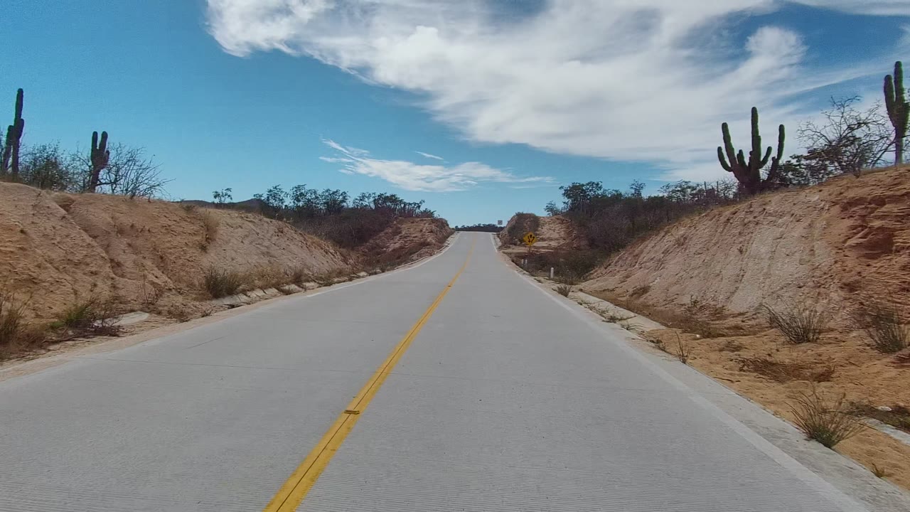 An empty East Cape Los Cabos road climbs gently between dry sandy hills, with tall cacti on both sides and a small roadside sign ahead, with no visible people.