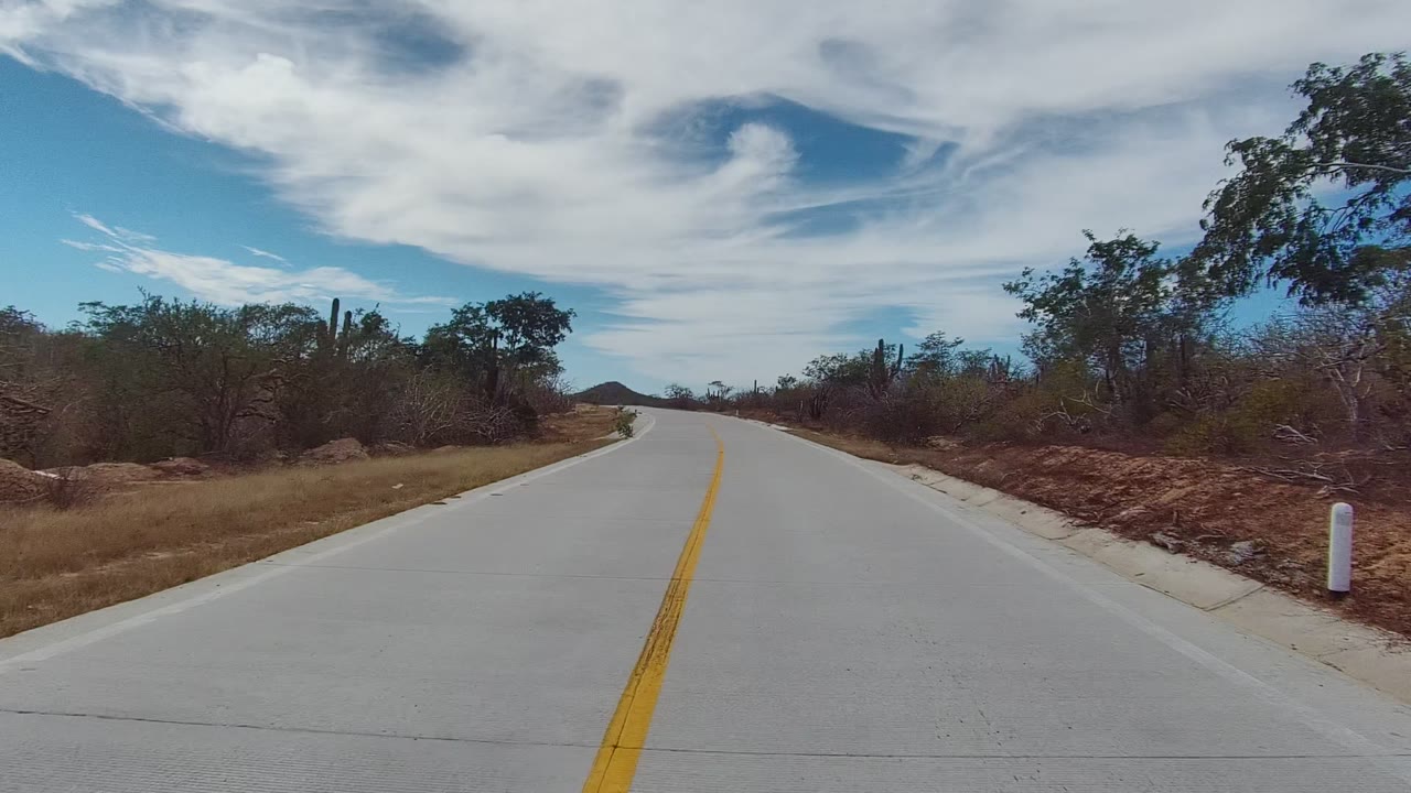 Road curving through arid vegetation with cactus and clouded blue sky