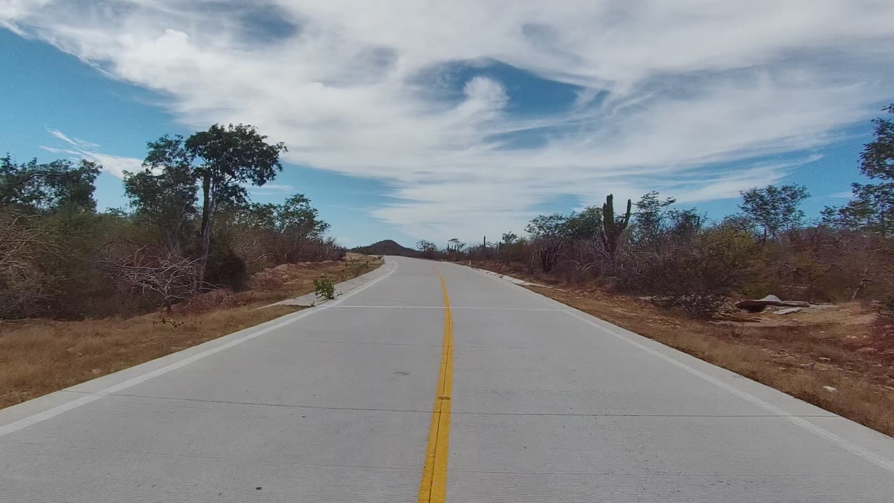East Cape Los Cabos road with a centered yellow line, dry scrub at both shoulders, a white roadside marker, trees, cacti, and no visible people.