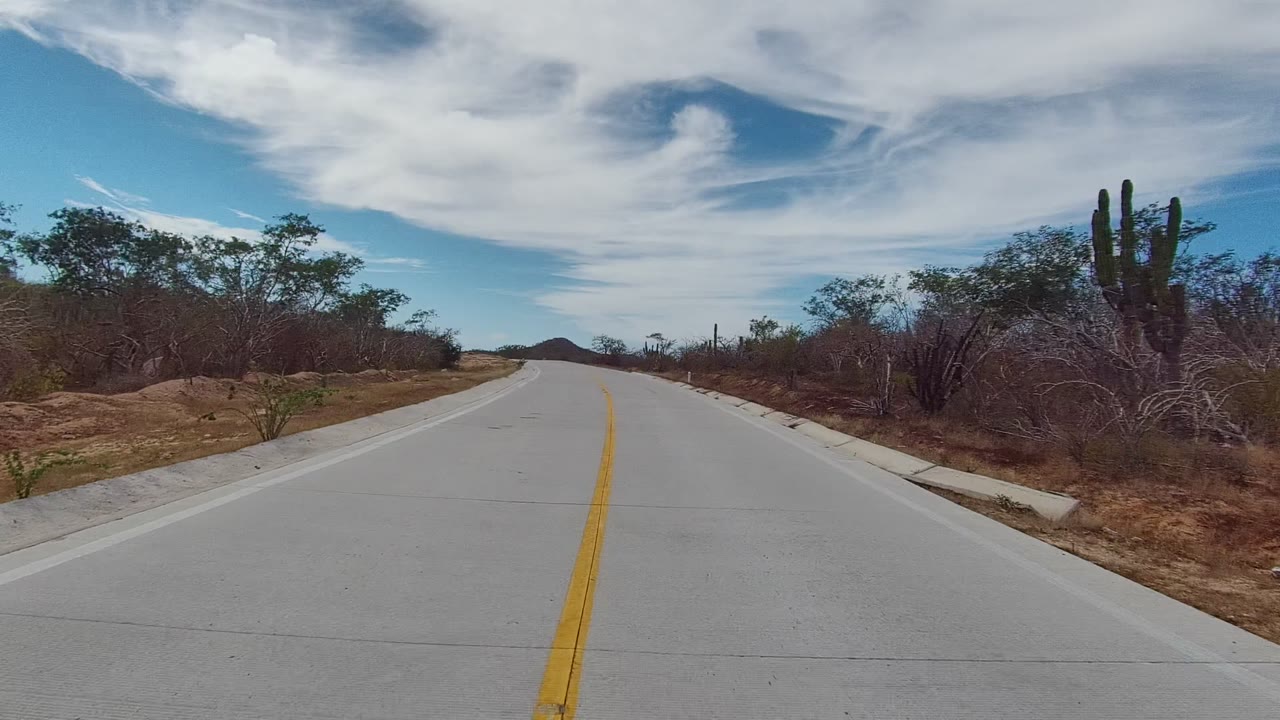 Straight paved road under clouds with dry vegetation and tall cactus