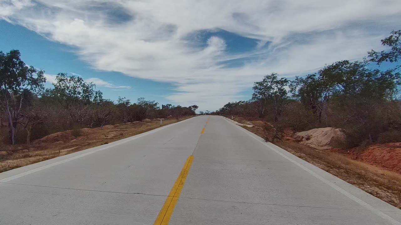 Road center line leading past sparse trees and reddish dry soil