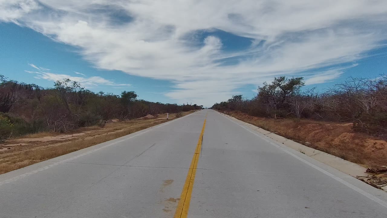 Centered road with yellow line and dry vegetation on both sides