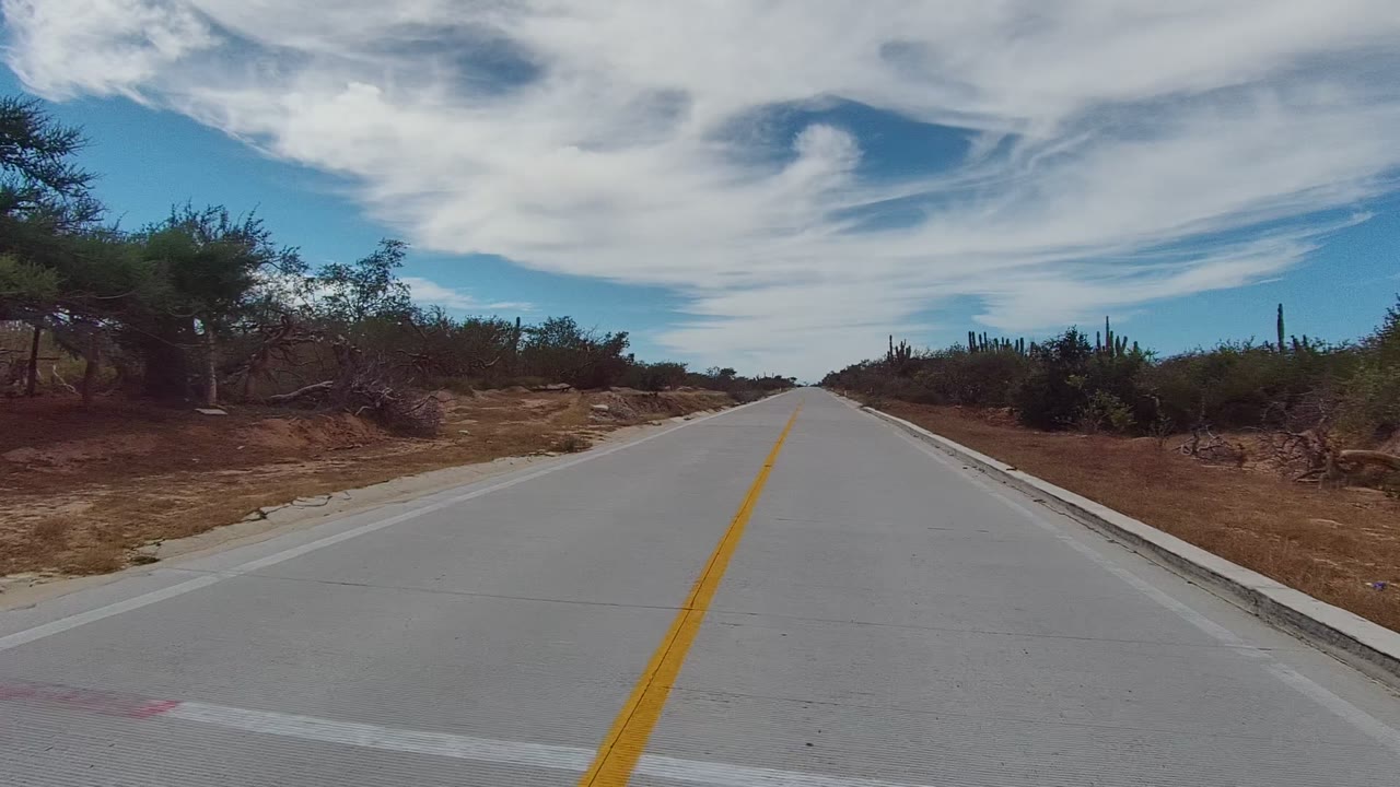 Vehicle-height view of road beside dry shrubs and trees