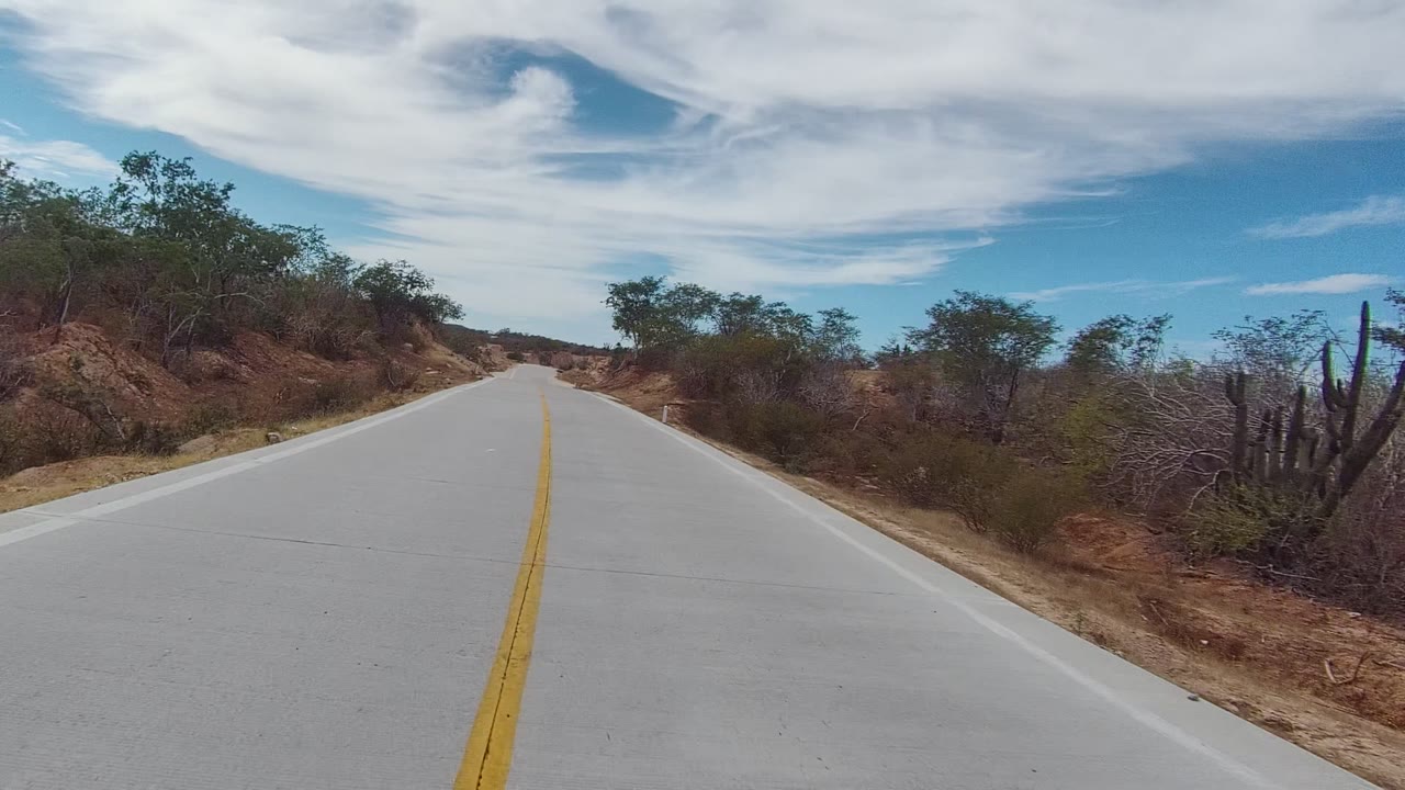 The road continues through East Cape Los Cabos with dry shrubs close to both shoulders, cactus-like plants at the right edge, broad white clouds, and no visible people.