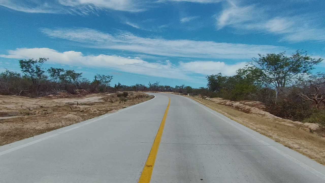 Curving paved road bordered by sandy desert vegetation