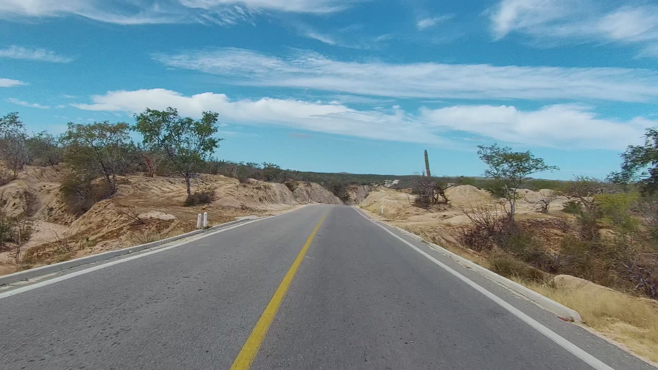 Paved road in East Cape Los Cabos, Baja California Sur, with a yellow center line, sandy shoulders, sparse shrubs, a tall cactus in the distance, and no visible people.