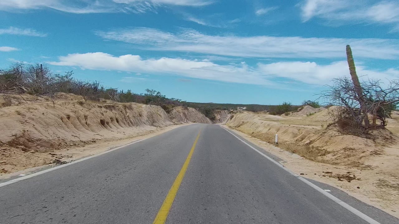Road beside pale sandy embankments and sparse desert vegetation.
