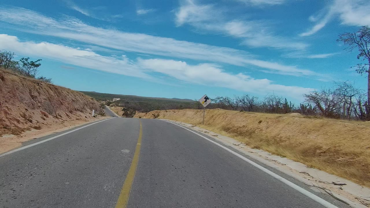 Road curve with dry embankment, scrub trees, and roadside sign ahead.