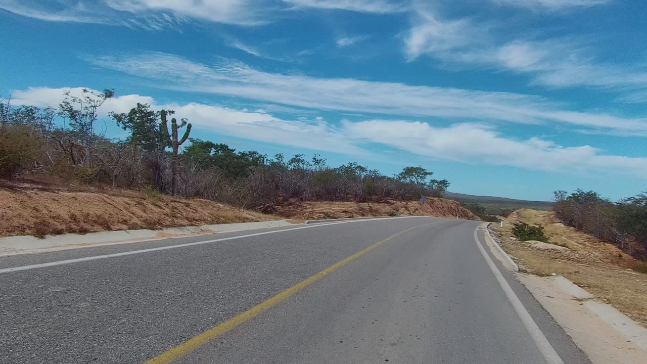 Road-level view of a curve bordered by brush and cacti.