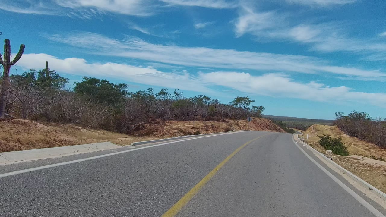 A tall cactus stands near the left shoulder as the East Cape Los Cabos road curves past dry brush and an open horizon, with no visible people.