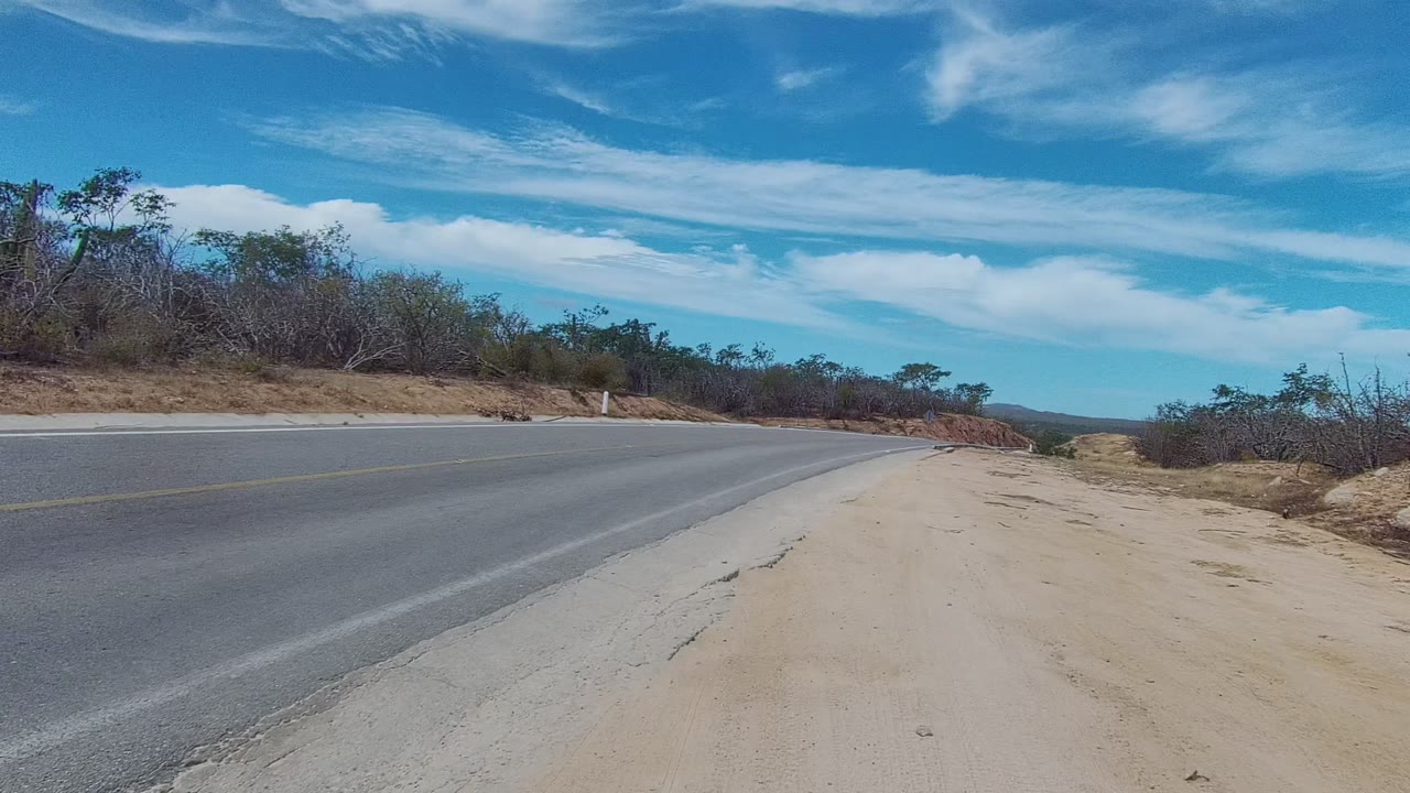 Road curving gently past dry roadside bushes