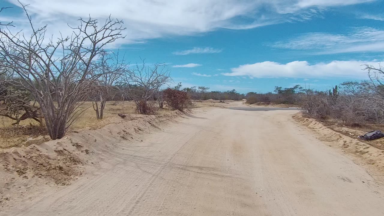 Sandy dirt road in East Cape Los Cabos, Baja California Sur, with bare branches on the left, low scrub ahead, blue sky, and no visible people.