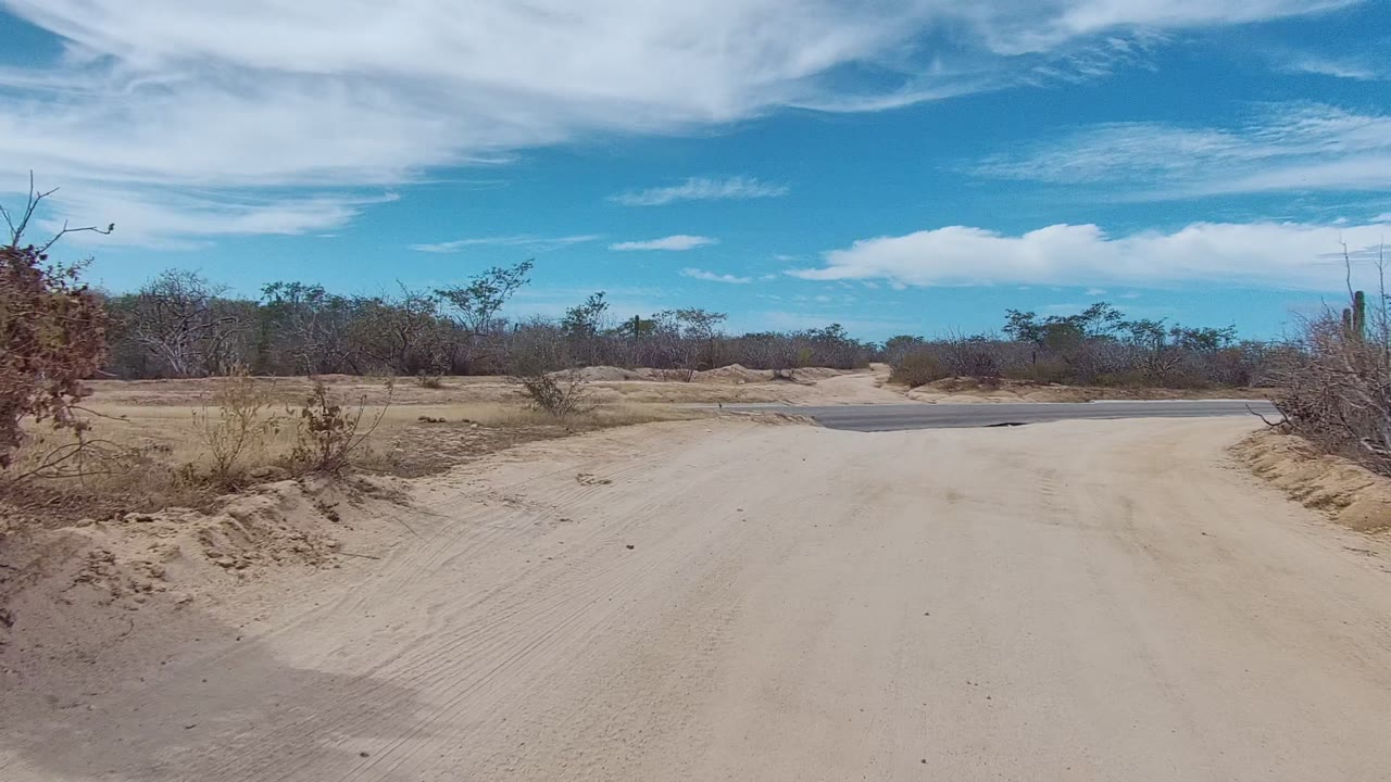 Dirt road curving toward sparse desert vegetation