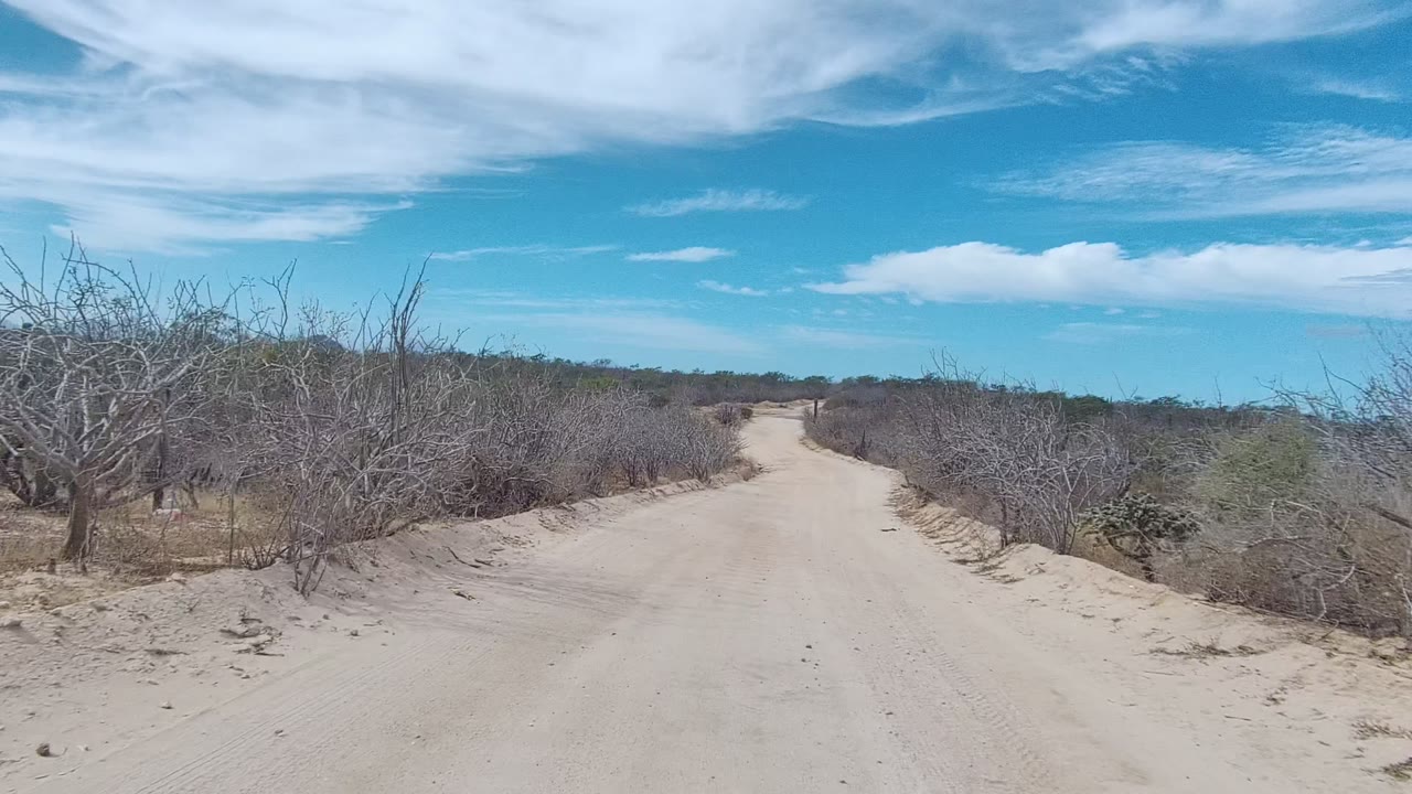 Opening frame of a sandy dirt road through dry East Cape Los Cabos bushland, with leafless shrubs on both sides, scattered clouds overhead, and no visible people.
