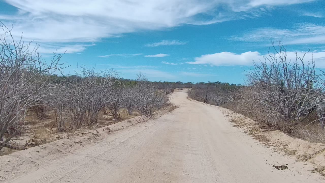 Dirt road curving gently through sparse dry brush.