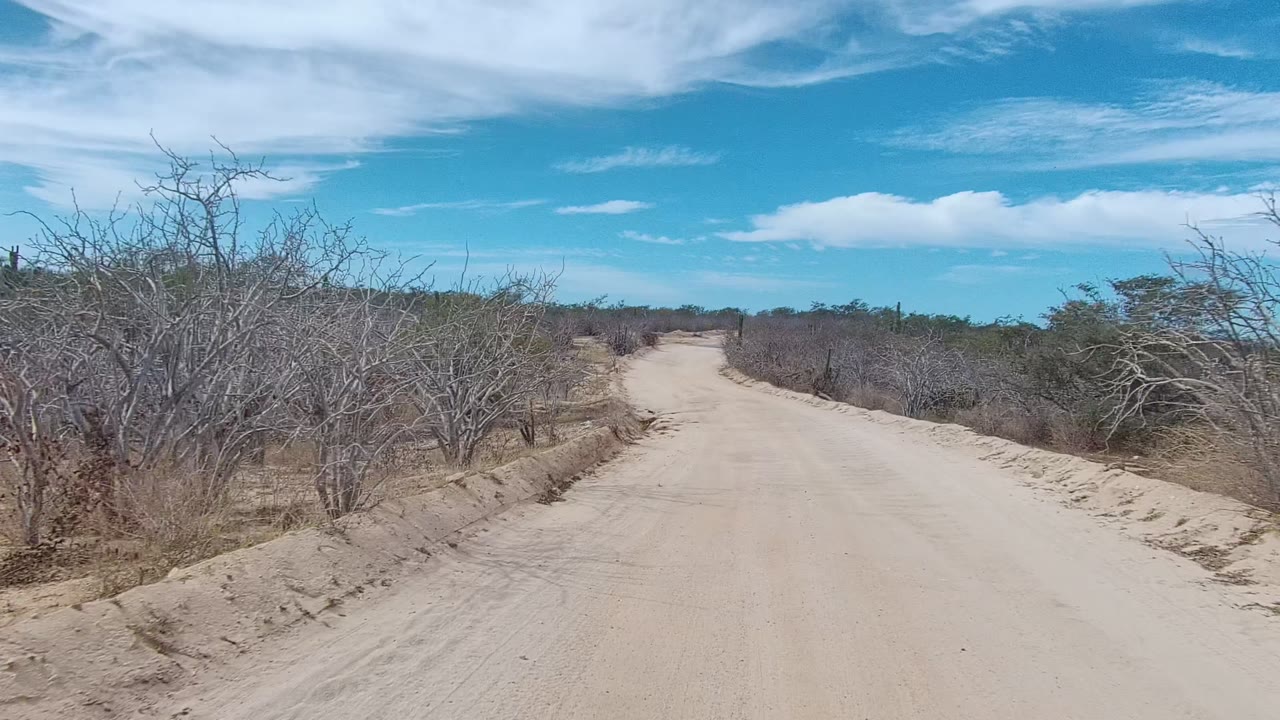 Mid-clip road view in East Cape Los Cabos, with thicker dry shrubs close to the right shoulder, scrubland on the left, white clouds above, and no visible people.