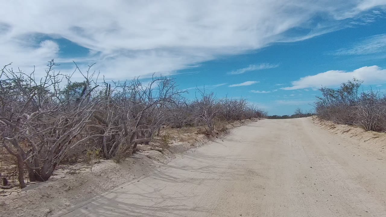 Start of the East Cape Los Cabos dirt road clip, with a pale sandy track between dry brush and scattered cactus under white clouds, no visible people.