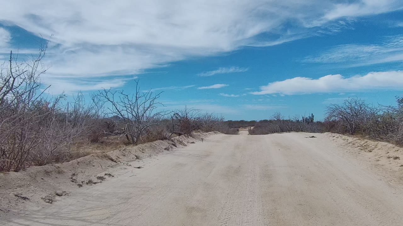Mid-clip view of the East Cape Los Cabos sandy road running straight through low arid bushland with cactus at the edge and no visible people.