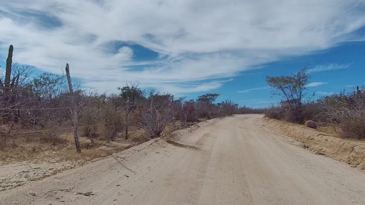 Start of a sandy dirt road in East Cape Los Cabos, Mexico, with dry brush, cactus shapes, roadside fencing, blue sky, broad white clouds, and no visible people.