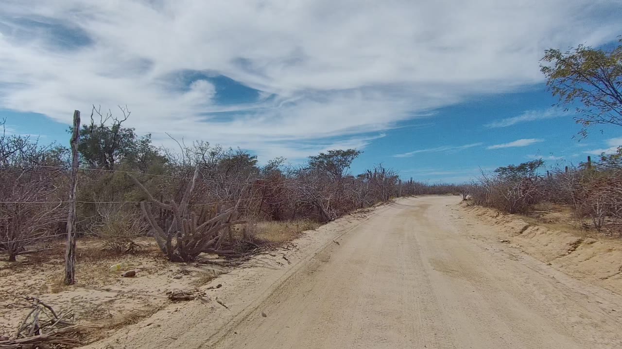 Pale dirt road curves slightly through dry shrubs and roadside trees.