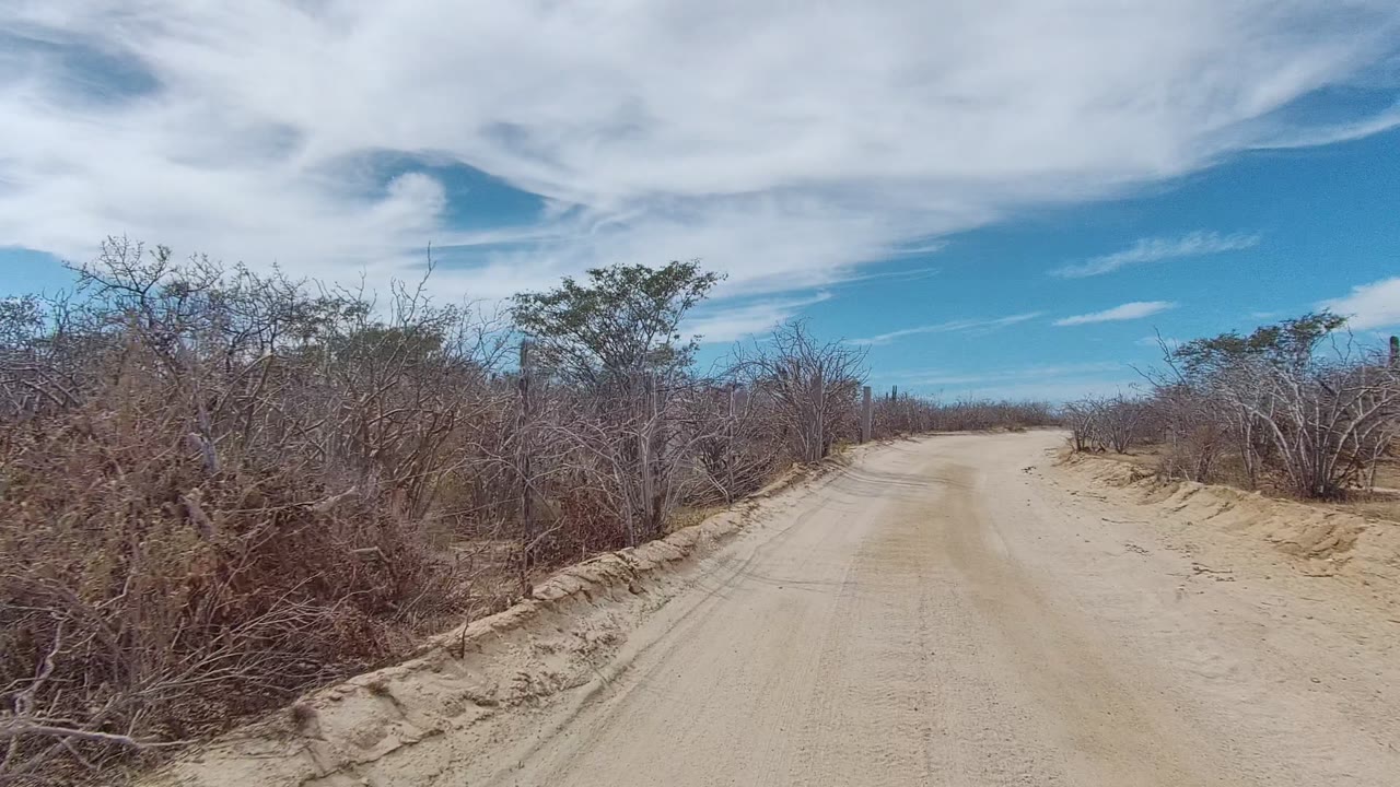 Mid-clip road view in East Cape Los Cabos, Mexico, with dense dry brush along both shoulders, scattered cacti in the background, a sandy roadway, blue sky, white clouds, and no visible people.