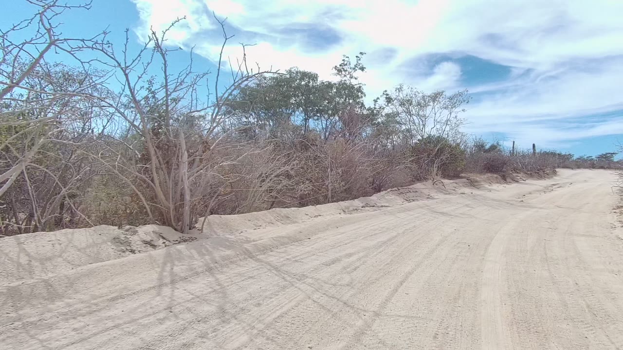 Sandy dirt road in East Cape Los Cabos, Baja California Sur, with pale tire tracks, dry bushes, bare branches, blue sky, white clouds, and no visible people.