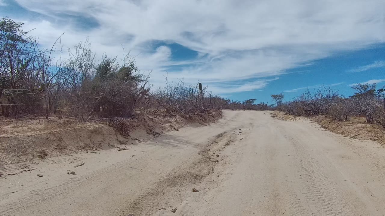 Sandy road in East Cape Los Cabos runs beside a small eroded roadside bank, dry shrubs, distant cacti, blue sky, high white clouds, and no visible people.