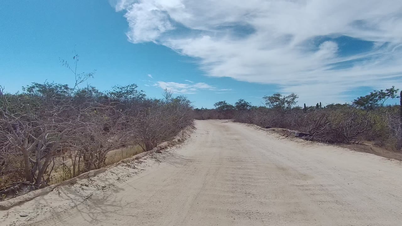 Sandy dirt road in East Cape Los Cabos, Baja California Sur, curving past dry bushes and small trees under a blue sky, with no visible people.