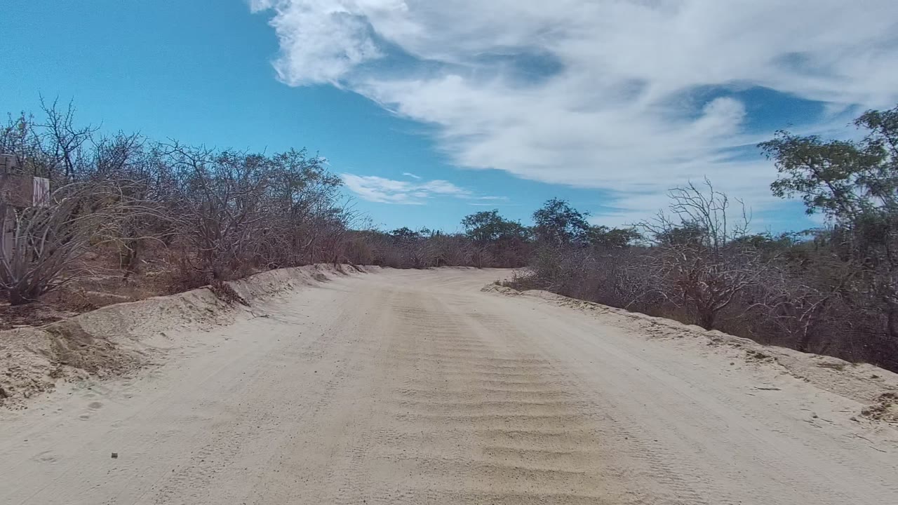 A sandy dirt road in East Cape Los Cabos, Baja California Sur, passes dry roadside shrubs and scrub trees beneath broad white clouds, with no visible people.