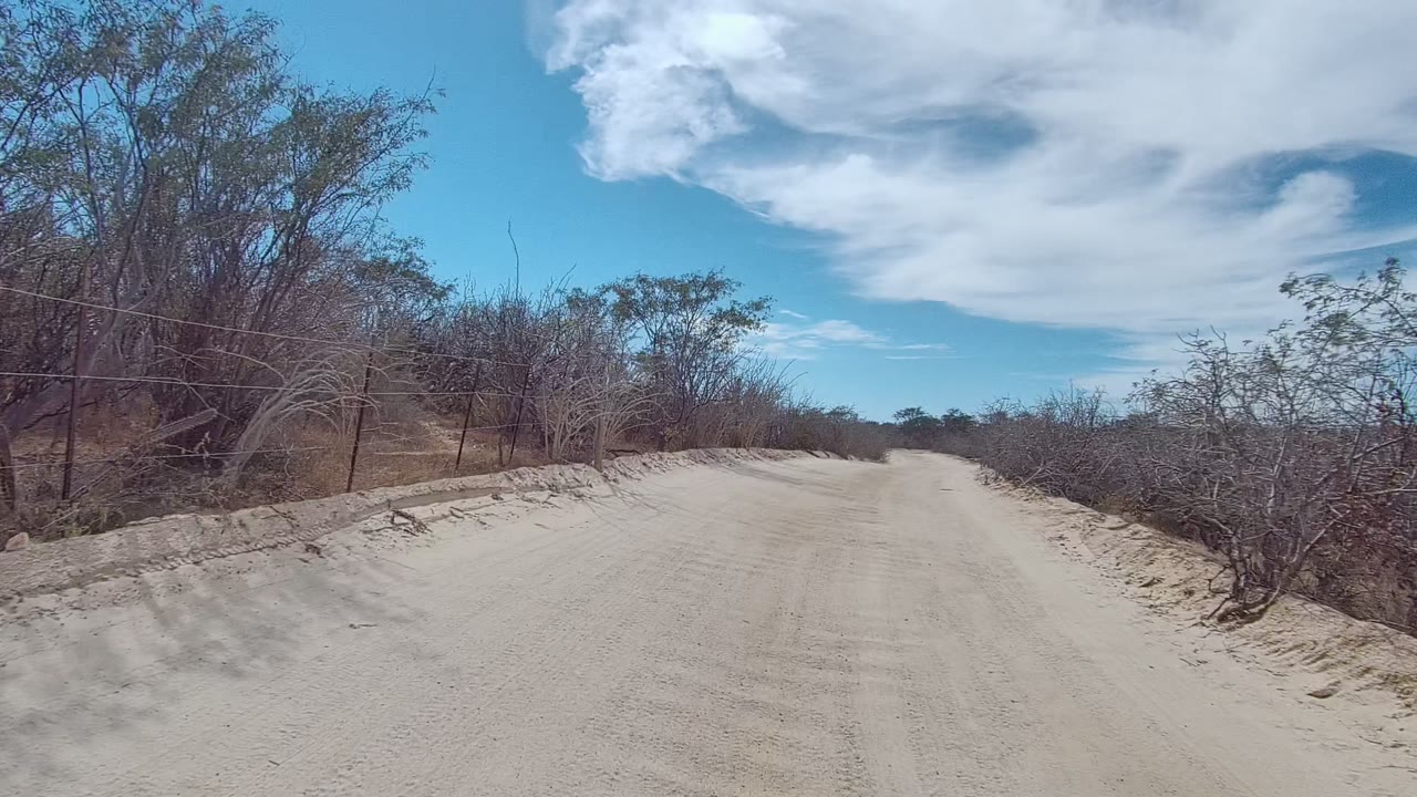 Mid-clip frame in East Cape Los Cabos, Baja California Sur, showing the sandy road passing taller roadside trees on the left, thorny brush on both sides, bright sky, and no visible people.