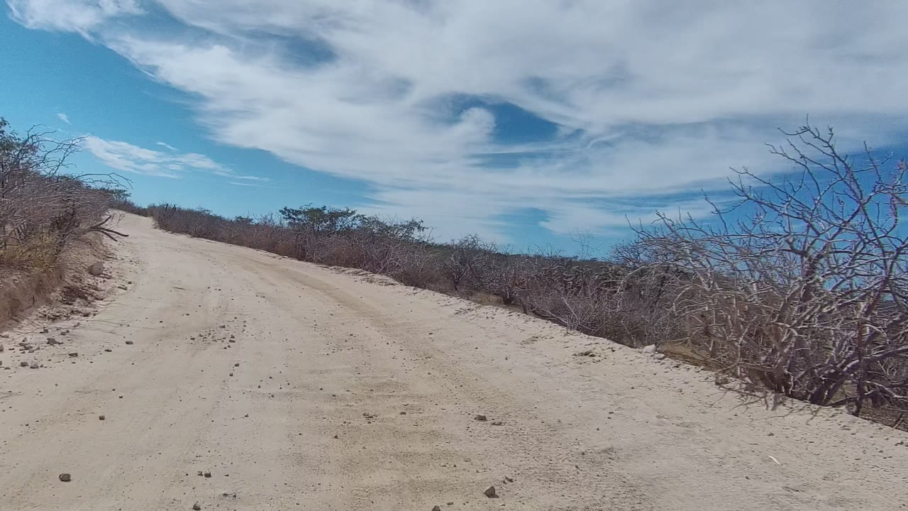 A sandy dirt road in East Cape Los Cabos, Baja California Sur bends ahead between dry shrubs and bare branches under white cloud cover, with no visible people.