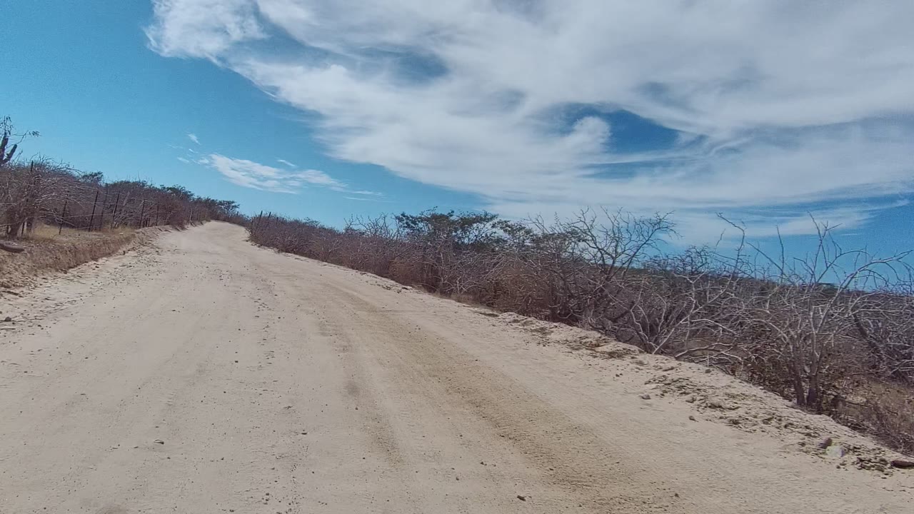 Forward view along a pale dirt road with scrub on both sides