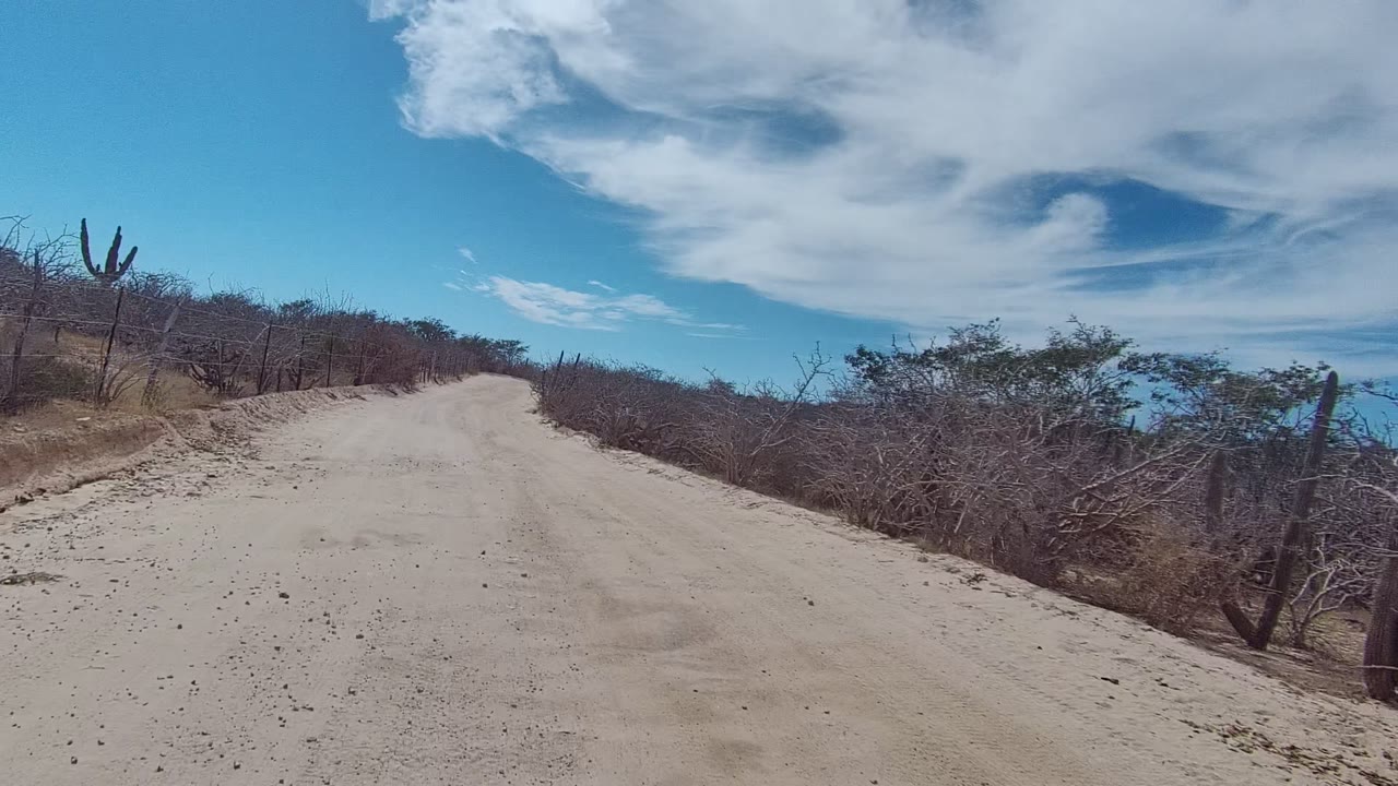 The road continues through East Cape Los Cabos, Baja California Sur with dry brush close to the shoulders and several upright cacti visible against the sky, with no visible people.
