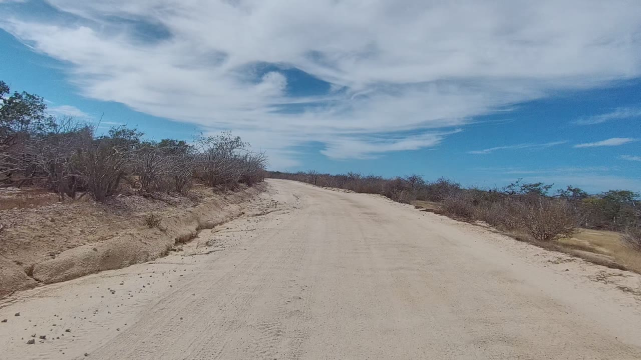 Start of a dusty dirt road through dry East Cape Los Cabos bushland, with low scrub on both sides, white clouds above, and no visible people.