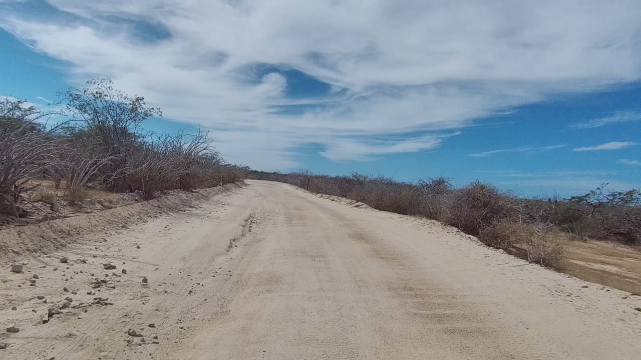 Sandy road edge with rocks and dry brush beside the track