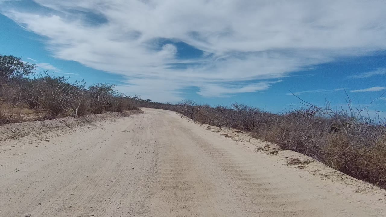 The road opens slightly through East Cape Los Cabos dry scrub, with tire-marked sand in the foreground, brush on both shoulders, and no visible people.