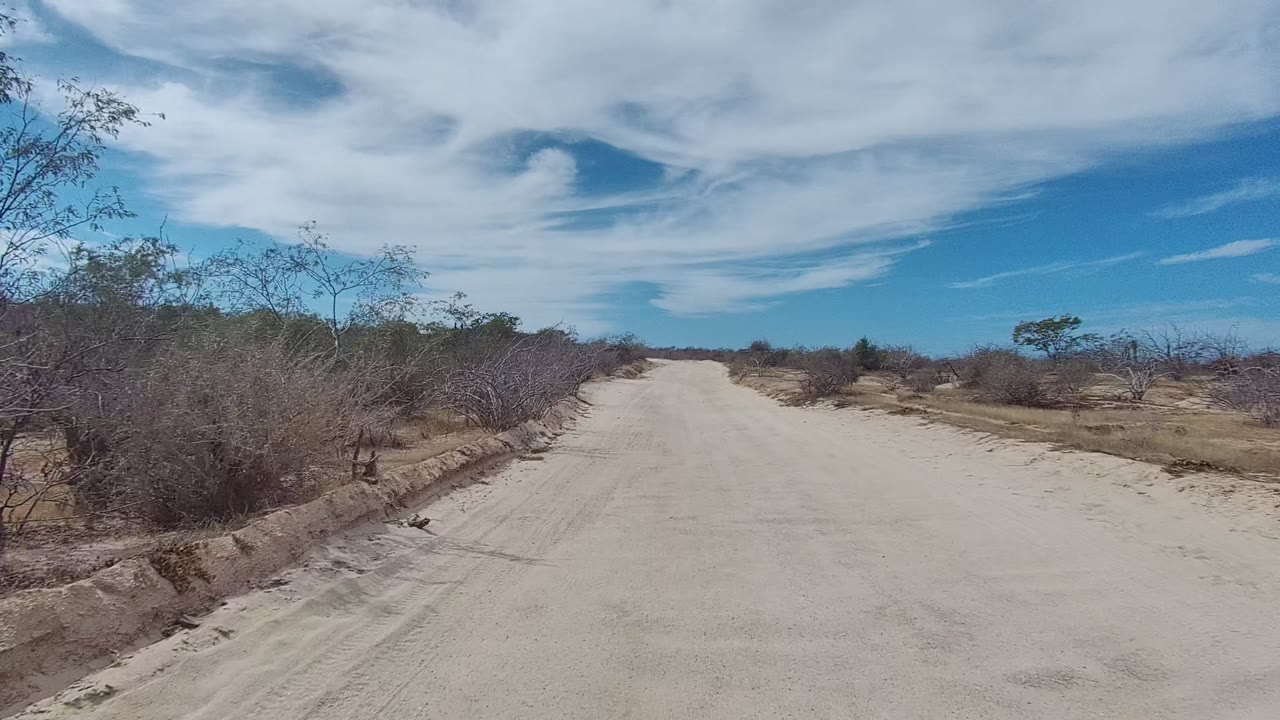 Road-centered view of sandy track with scrub on both sides