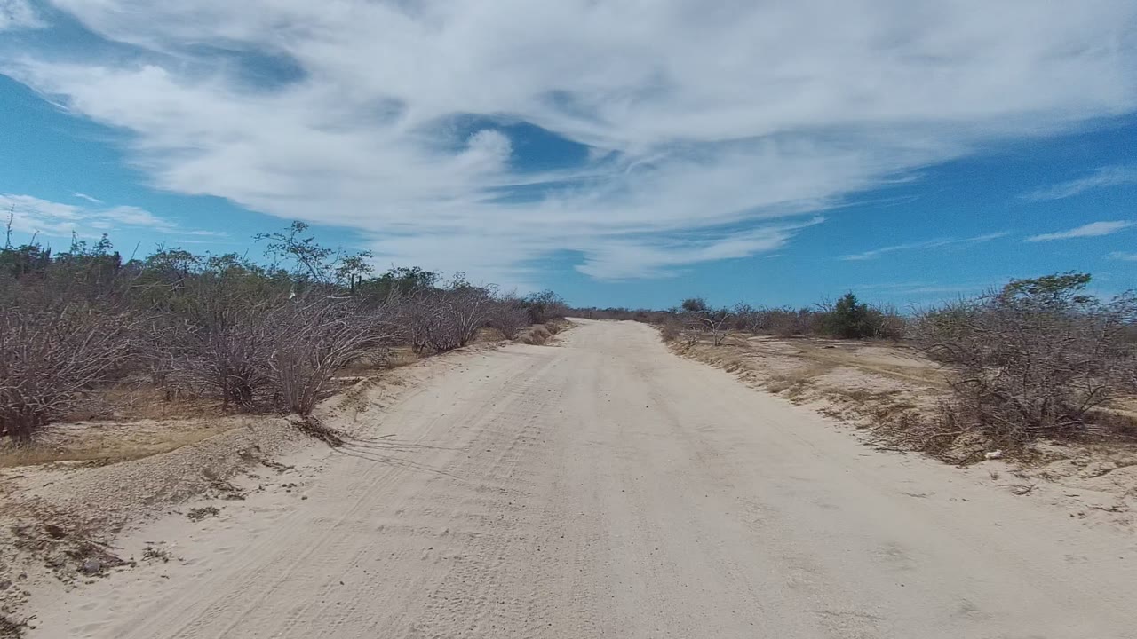 The East Cape Los Cabos dirt road remains pale and open, with a small roadside rise, scattered bushes, and a broad blue sky with no visible people.