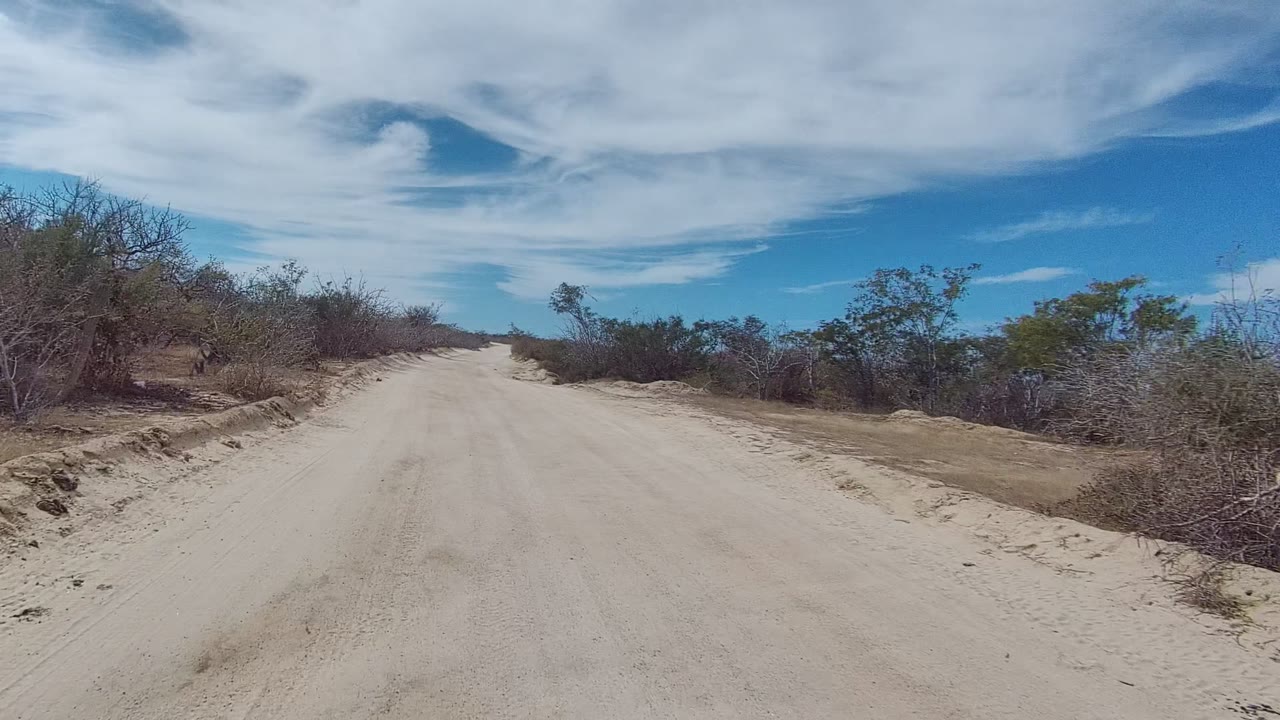 At the start of the East Cape Los Cabos clip, a pale sandy road stretches ahead between low dry shrubs and scrubby trees under streaked white clouds, with no visible people.
