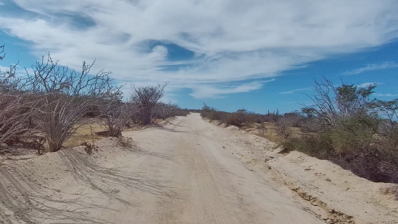 At 0:02, the road passes a larger leafless bush and sandy shoulder on the right while scrub vegetation lines both sides of the East Cape route, with no visible people.
