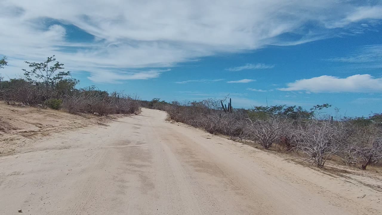 Sandy road through arid East Cape Los Cabos bushland, with low scrub on both sides, a blue sky with white clouds, and no visible people.