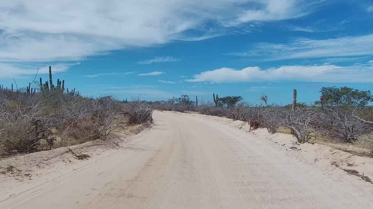 Opening view of a sandy dirt road in East Cape Los Cabos, Baja California Sur, with dry shrubs, scattered cacti, blue sky, white clouds, and no visible people.