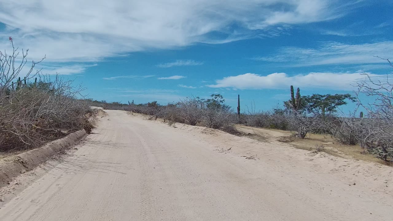 A later road position in East Cape Los Cabos, Baja California Sur, shows the sandy track narrowing visually between brushy banks, with cacti beyond and no visible people.