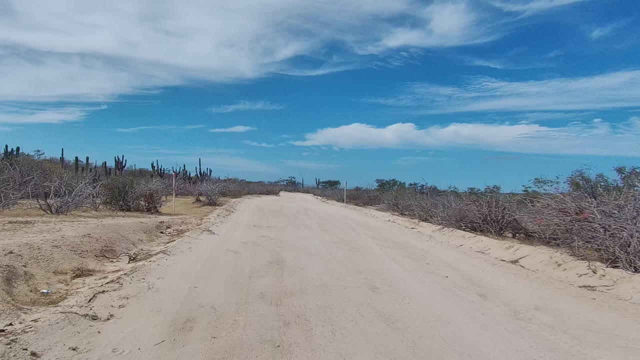 The sandy road in East Cape Los Cabos stretches ahead between dry brush, with tall cacti grouped near the horizon and no visible people.