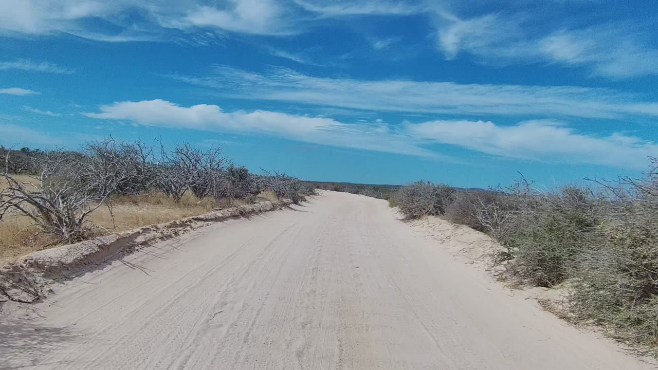 A sandy dirt road in East Cape Los Cabos stretches ahead between dry roadside shrubs and grass under a blue sky with thin white clouds, with no visible people.