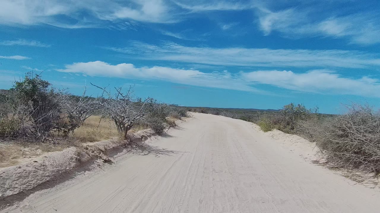 Pale road curving past scrub and dry grass in desert terrain.