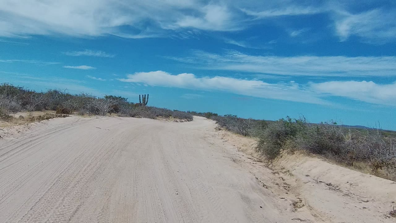 A sandy dirt road in East Cape Los Cabos, Baja California Sur runs between low shrubs and distant cactus under scattered clouds, with no visible people.